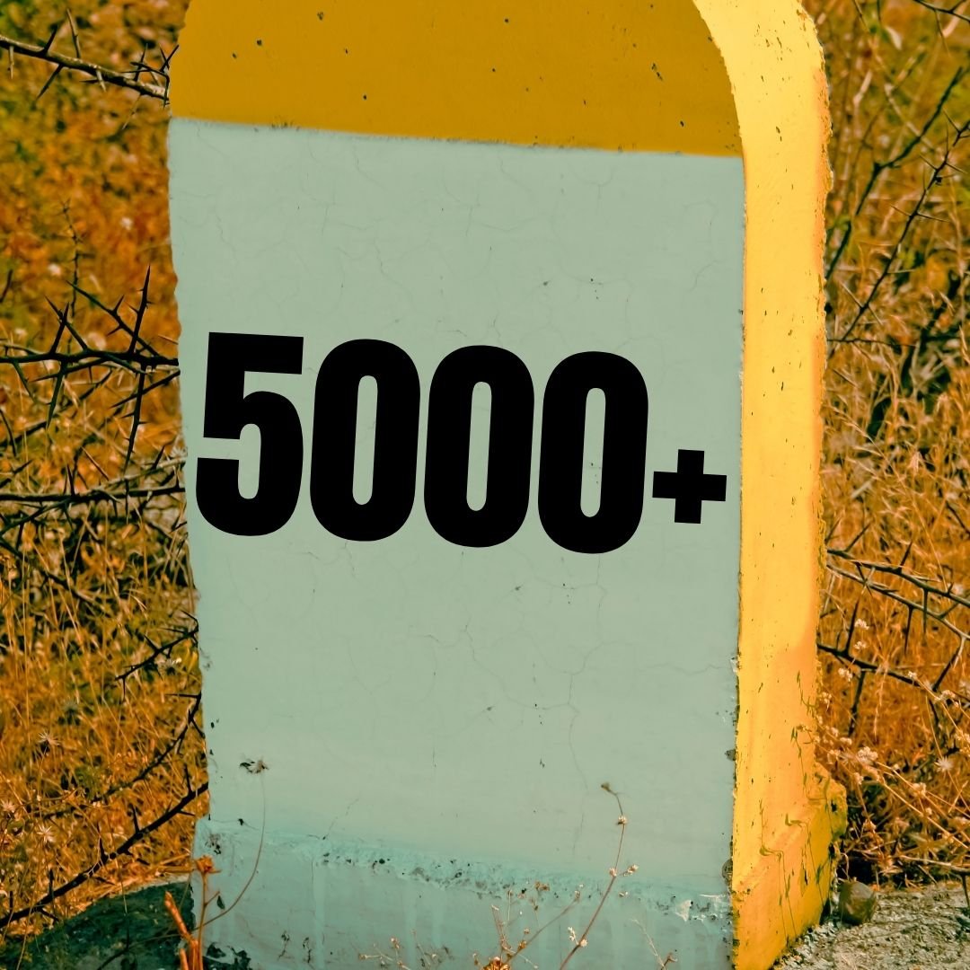 5,000+ Units Sold